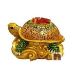 Tortoise 6wm