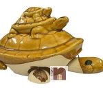 Tortoise Family 1wm