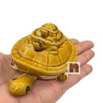 Tortoise Family 3wm