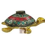 Turtle Showpiece 1WM