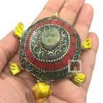 Turtle Showpiece 4WM