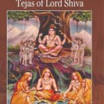 adi shankaracharya 1