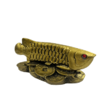 Feng Shui Arowana Fish On Lucky Coins Showpiece (Oxidized Golden) (Small) (Length 10 Cms) (1 Pc)