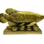 Feng Shui Arowana Fish On Lucky Coins Showpiece (Length 16 Cms) (1 Pc)