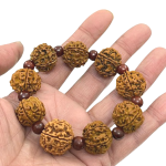 compressed bracelet 5 mukhi rudraksha with red chandan 10br
