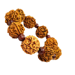 compressed bracelet 5 mukhi rudraksha with red chandan 1br
