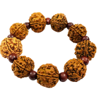 compressed bracelet 5 mukhi rudraksha with red chandan 3br