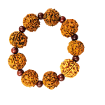compressed bracelet 5 mukhi rudraksha with red chandan 6br