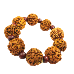 compressed bracelet 5 mukhi rudraksha with red chandan 9br