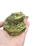compressed feng shui frog with coin 10br