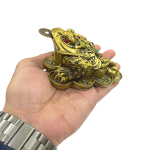 compressed feng shui three leg frog big 13br