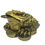 compressed feng shui three leg frog big 8br