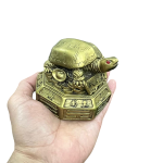 compressed feng shui tortoise on coins 11br
