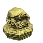 compressed feng shui tortoise on coins 9br