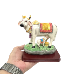 compressed kamdhenu cow in resin 11br