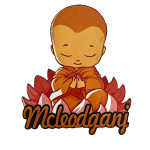 compressed magnetic sticker macleodganj child monk 1br