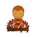 compressed magnetic sticker macleodganj child monk 2br