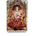 compressed magnetic sticker mata padmavati 2br
