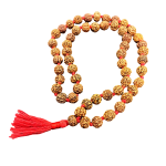 compressed rudraksha mala 54 beads 10 mm 6br