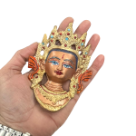 compressed tara face golden 7br