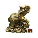 elephant on lucky coins wm