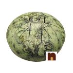 happy drum light green world map 3 1
