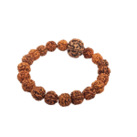 5 Mukhi Rudraksha Beads Bracelet Nepali Rudraksha Bead Bracelet For Men & Women (Stretchable) (1 Pc)