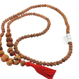 rudraksha sidh mala indo 8br