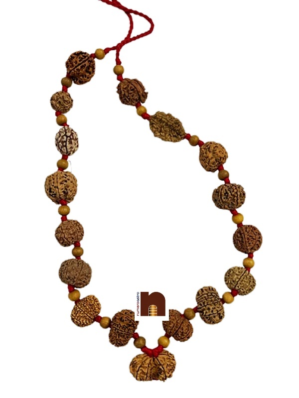rudraksha_kantha_mala_1-14_mukhi_1 rudraksha kantha mala 1 14 mukhi 1