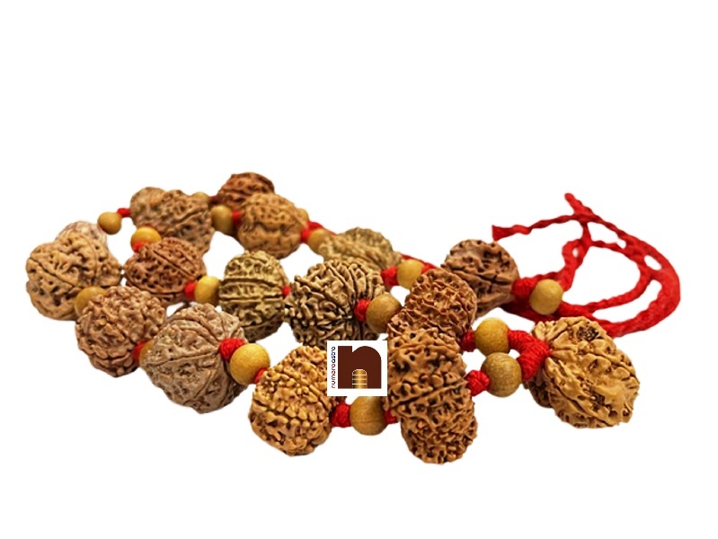 rudraksha_kantha_mala_1-14_mukhi_10 rudraksha kantha mala 1 14 mukhi 10