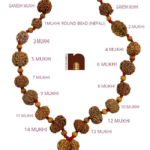 1-14 Mukhi Rudraksha Kantha Mala With 1 Mukhi Round Nepali Bead (Lab X-Ray Report) ( Energized & Siddha Mala)
