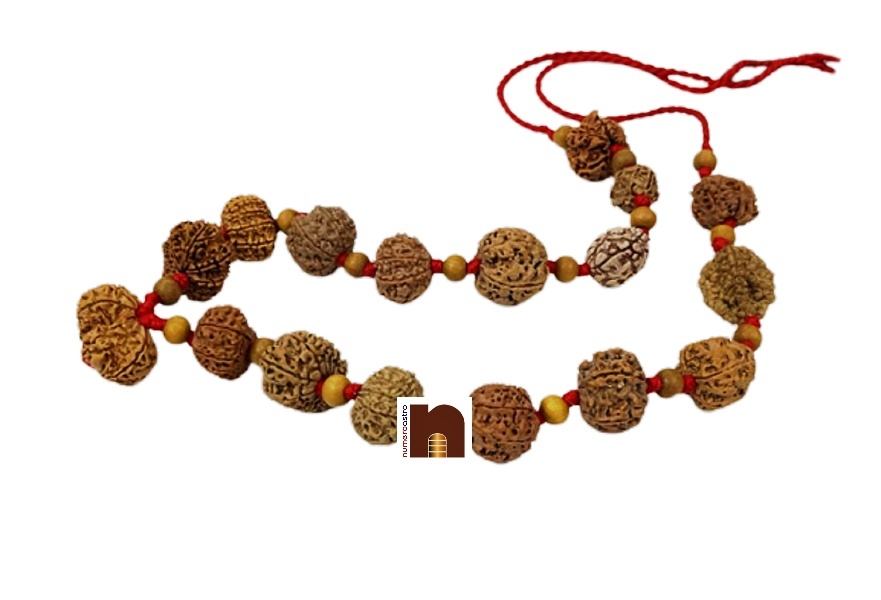 rudraksha_kantha_mala_1-14_mukhi_5 rudraksha kantha mala 1 14 mukhi 5