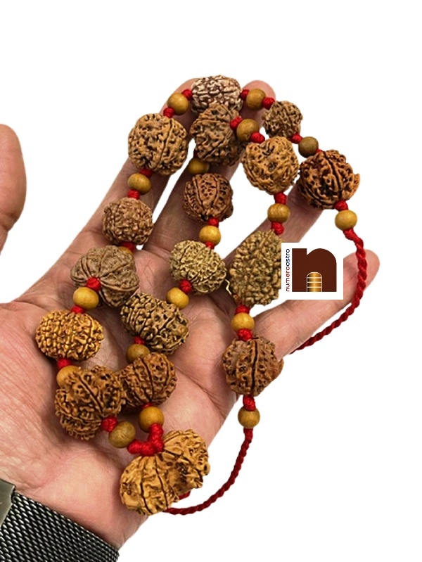 rudraksha_kantha_mala_1-14_mukhi_6 (1) rudraksha kantha mala 1 14 mukhi 6 1