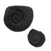 Shaligram Stone | (Shila (Laxmi Narayan Ji) (AAA Quality) from Gandaki River Nepal (1 Set)