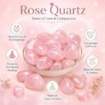 Rose Quartz Tumble Stones | Chakra Healing Stones (100 Grams Approx)